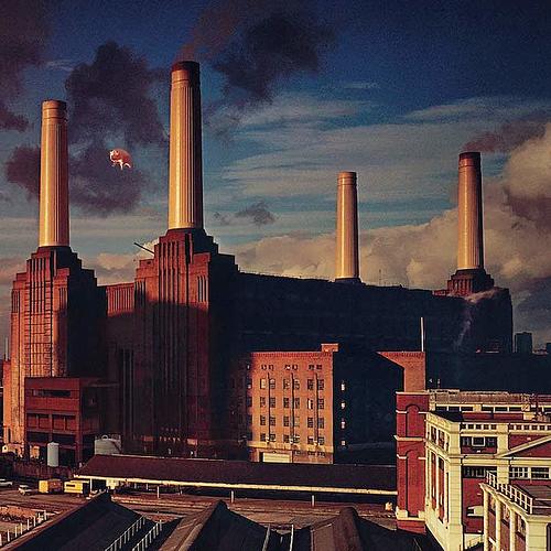 11-Pink-Floyd-Animals-Art