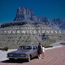 220px-The_Pineapple_Thief_Your_Wilderness_Cover_Art